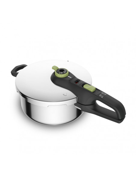 Olla rapida Tefal P2580400  4L  Verde  Secure T