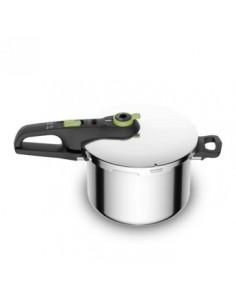 Olla rapida Tefal P2580703  6L  Verde  Secure T