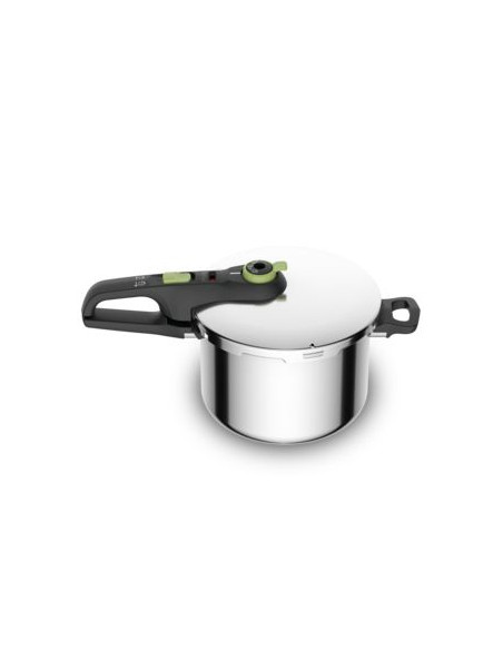 Olla rapida Tefal P2580703  6L  Verde  Secure T