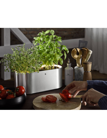 Macetero WMF AMBIENT HERBS  0419010011  350x142x16